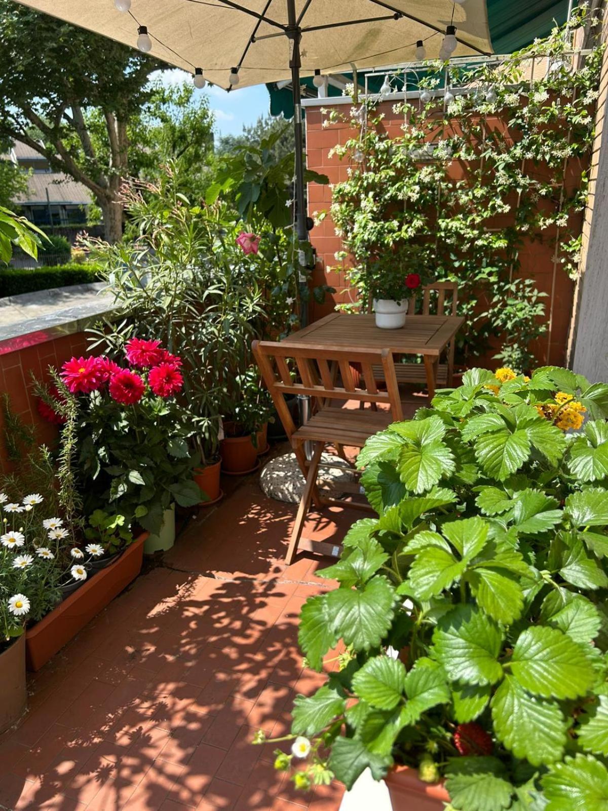 Vito'S Room 科马诺 外观 照片